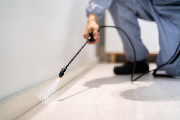 Professional exterminator conducting IPM assessment in Ahwahnee